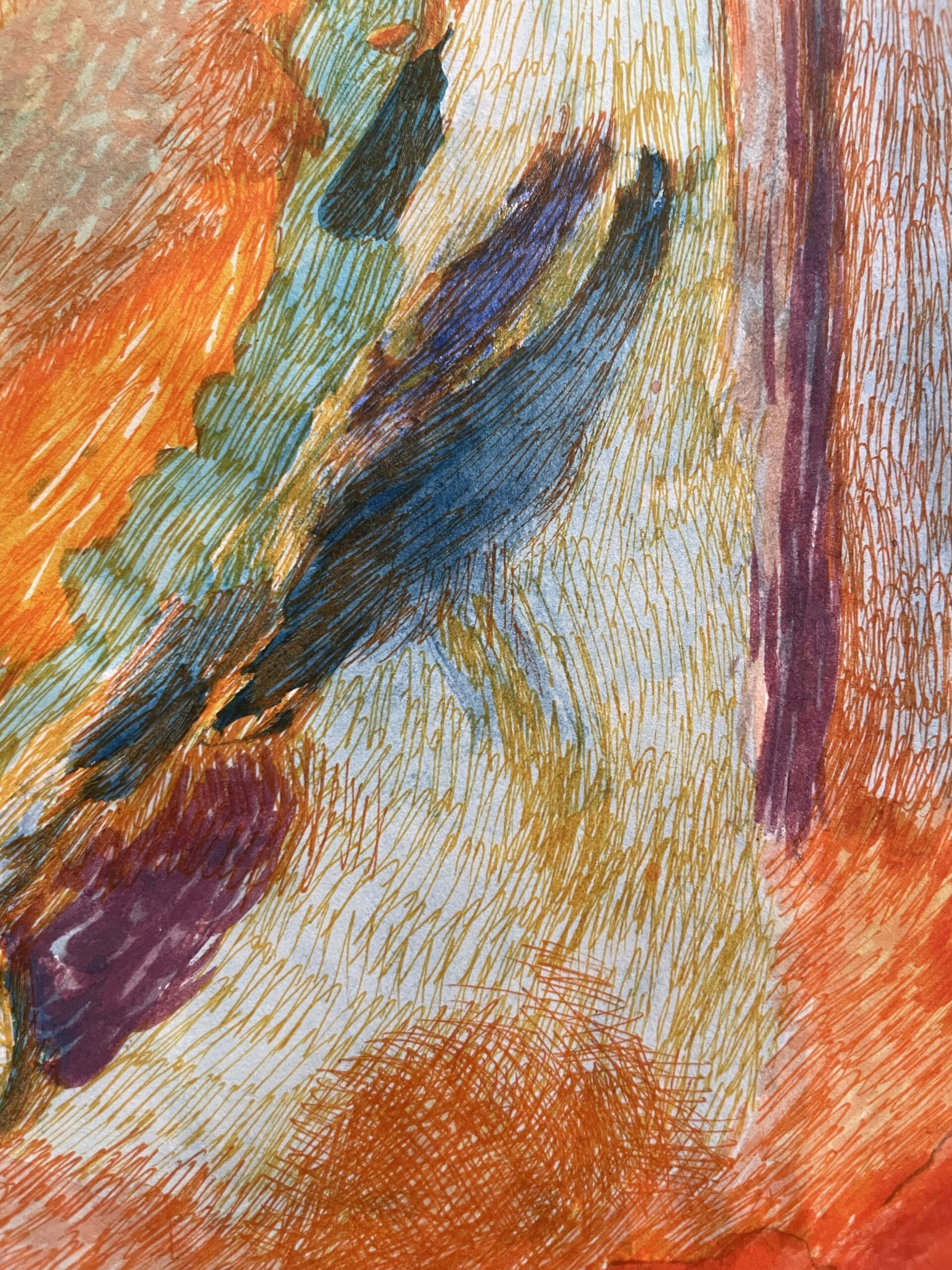 Sylwia Narbutt - Blink