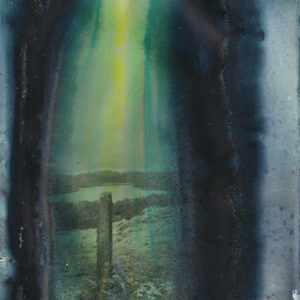 Sarah Tew- Brant Fell