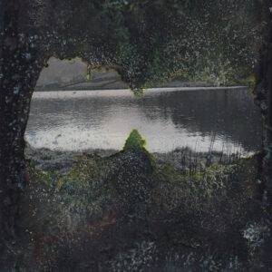 Sarah Tew- Moss Cave